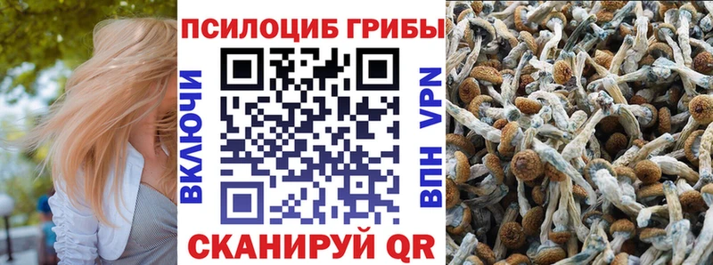 Галлюциногенные грибы прущие грибы  Купить где  Новотроицк 